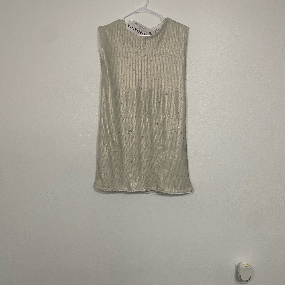 TCEC Shimmering Silver Sleeveless Dress